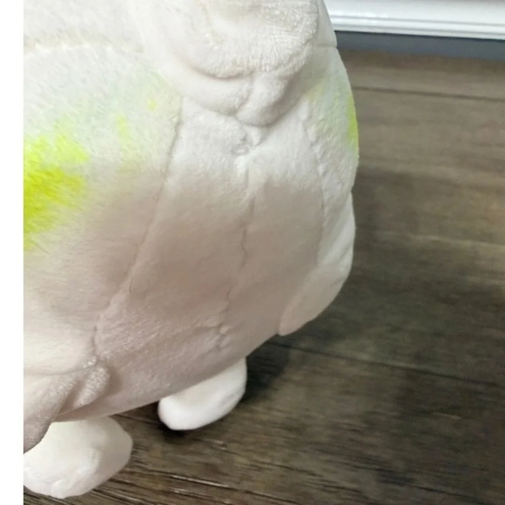 Cabbage Shiba Inu Dog 8